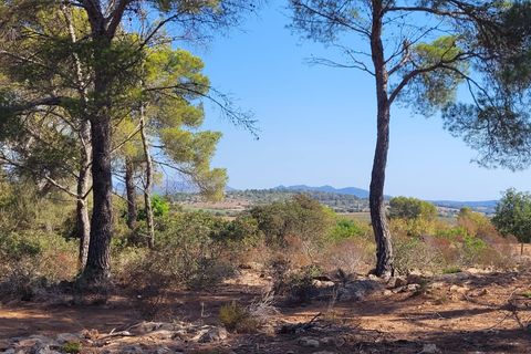 Helårsgrund i Manacor, Mallorca, Manacor - € 390.000 | Ref: 1706 - foto 4